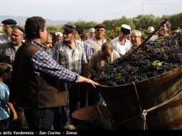 sagra_vendemmia_2